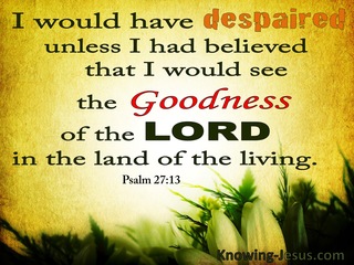 Psalm 27:13 The Goodness Of The Lord (orange)